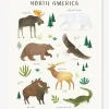 Affiche Animaux D’Amérique Du Nord Living Earth LILIPINSO Marron – Lilipinso vente en ligne pas cher 8