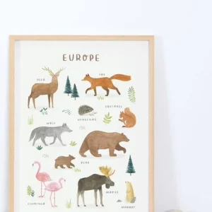 à prix très bas Affiche Animaux D’Europe Living Earth LILIPINSO Marron – Lilipinso 6